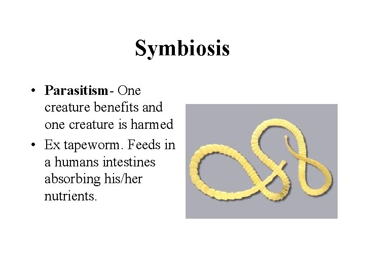 Symbiosis • Parasitism- One creature benefits and one creature is harmed • Ex tapeworm.