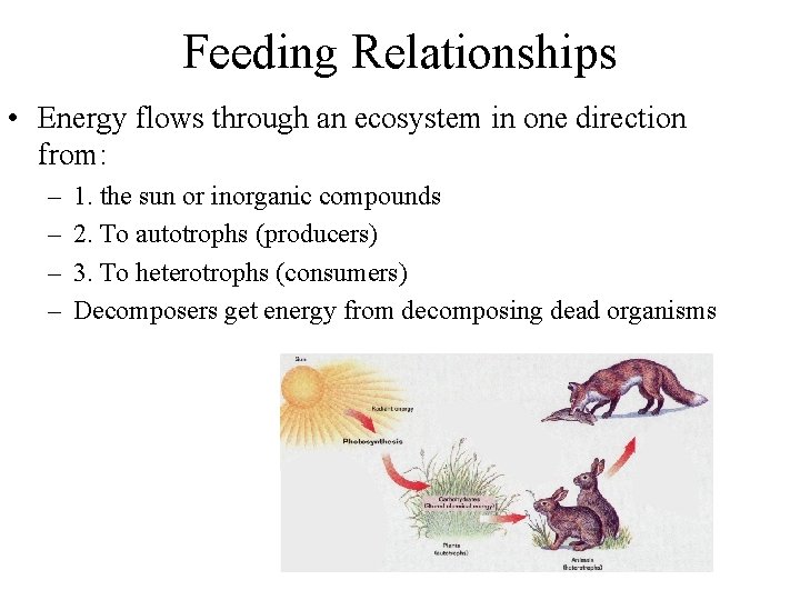 Feeding Relationships • Energy flows through an ecosystem in one direction from: – –