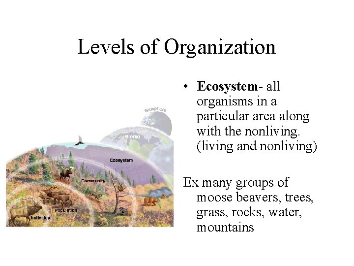Levels of Organization • Ecosystem- all organisms in a particular area along with the