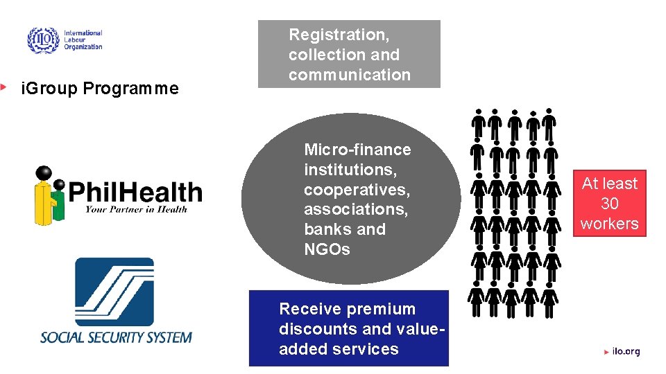 i. Group Programme Registration, collection and communication Micro-finance institutions, cooperatives, associations, banks and NGOs
