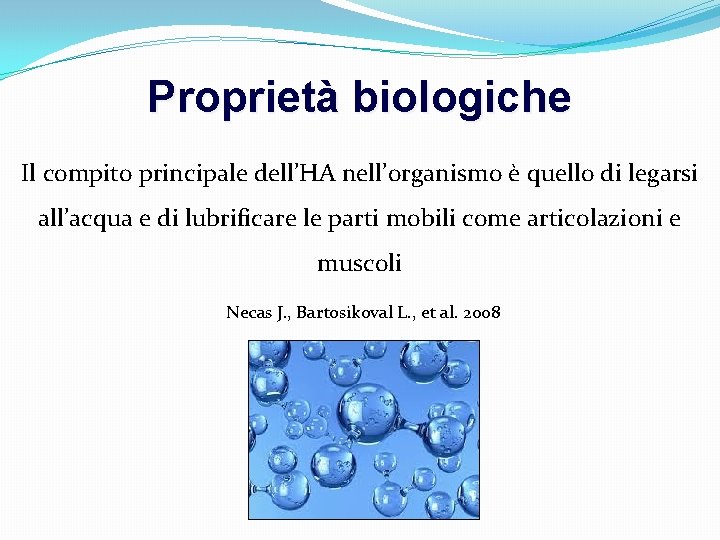 Proprietà biologiche Il compito principale dell’HA nell’organismo è quello di legarsi all’acqua e di