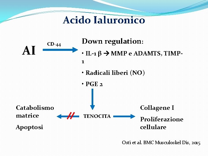 Acido Ialuronico AI CD-44 Down regulation: • IL-1 β MMP e ADAMTS, TIMP 1