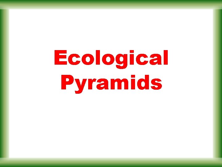 Ecological Pyramids 
