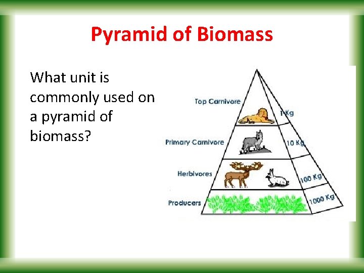 Pyramid of Biomass What unit is commonly used on a pyramid of biomass? 