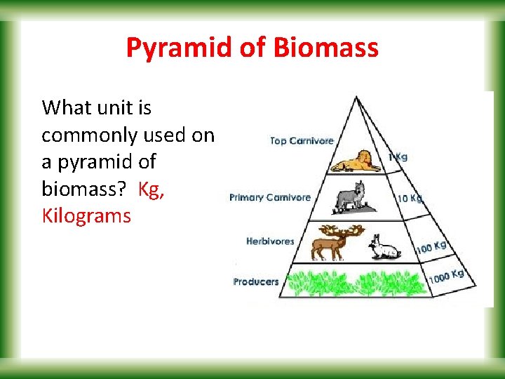 Pyramid of Biomass What unit is commonly used on a pyramid of biomass? Kg,