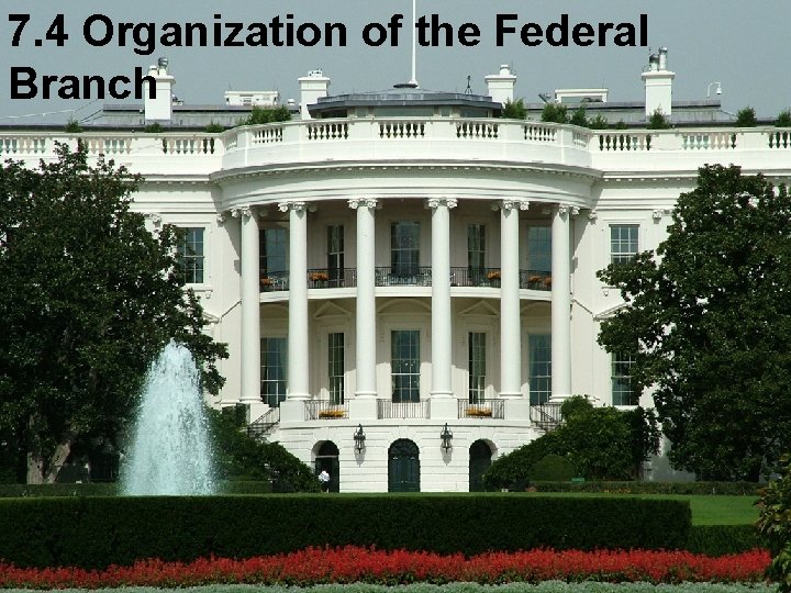 7. 4 Organization of the Federal Branch 