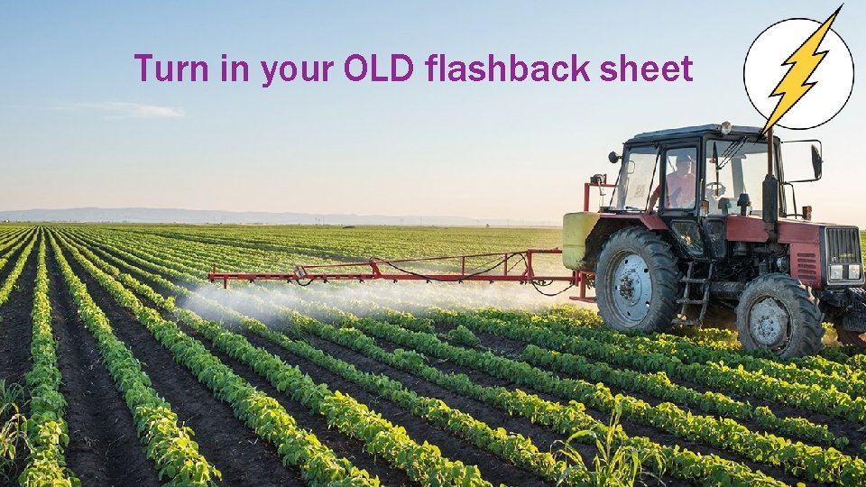 Turn in your OLD flashback sheet 