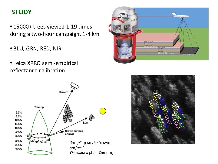 STUDY • 15000+ trees viewed 1 -19 times during a two-hour campaign, 1 -4