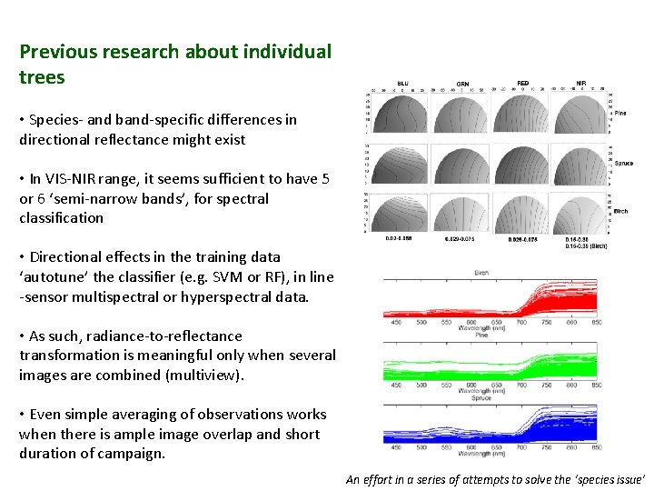 Previous research about individual trees • Species- and band-specific differences in directional reflectance might