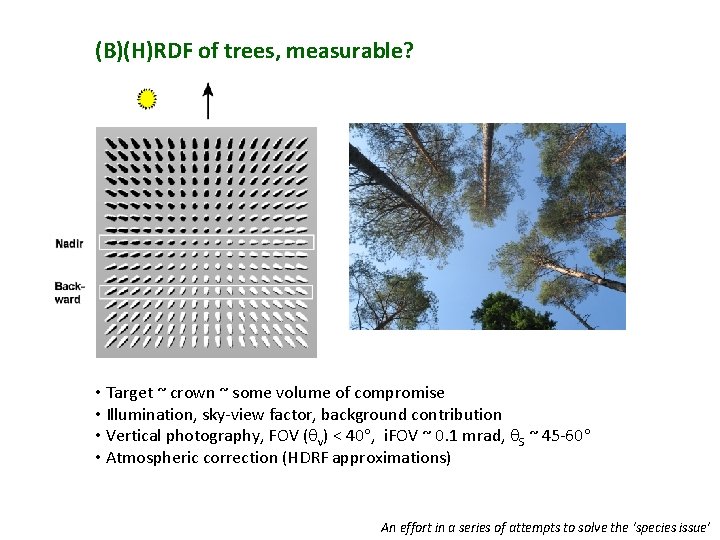 (B)(H)RDF of trees, measurable? • Target ~ crown ~ some volume of compromise •