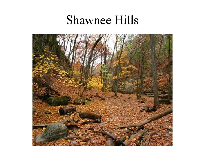 Shawnee Hills 