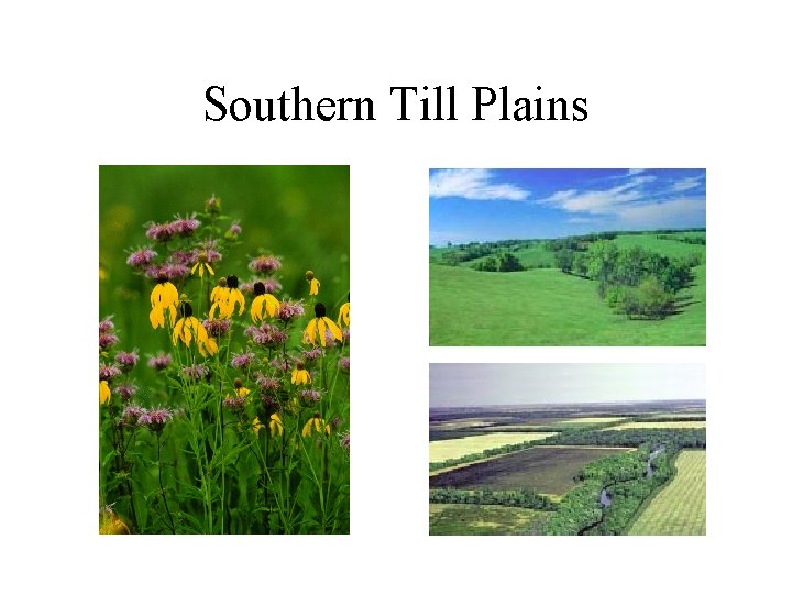 Southern Till Plains 