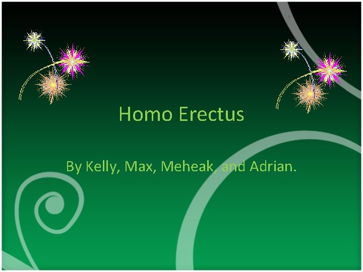 Homo Erectus By Kelly, Max, Meheak, and Adrian. 