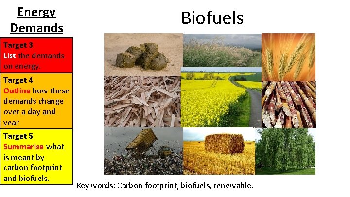 Energy Demands Biofuels Target 3 List the demands on energy. Target 4 Outline how Energy Demands Biofuels Target 3 List the demands on energy. Target 4 Outline how