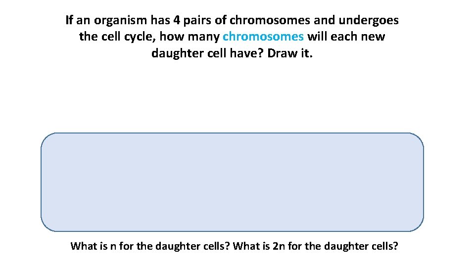 If an organism has 4 pairs of chromosomes and undergoes the cell cycle, how