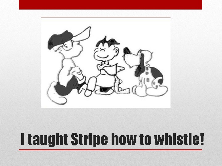 I taught Stripe how to whistle! 