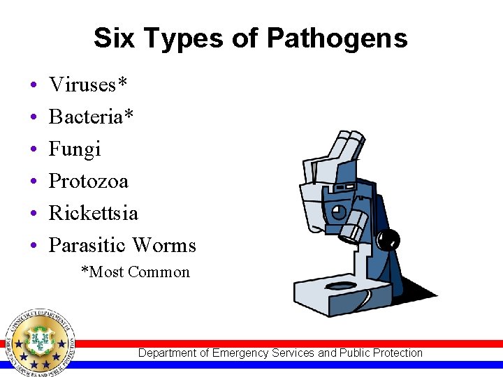 Six Types of Pathogens • • • Viruses* Bacteria* Fungi Protozoa Rickettsia Parasitic Worms