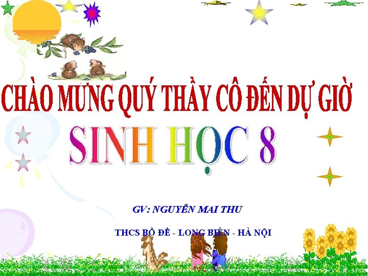 GV: NGUYỄN MAI THU THCS BỒ ĐỀ - LONG BIÊN - HÀ NỘI 1