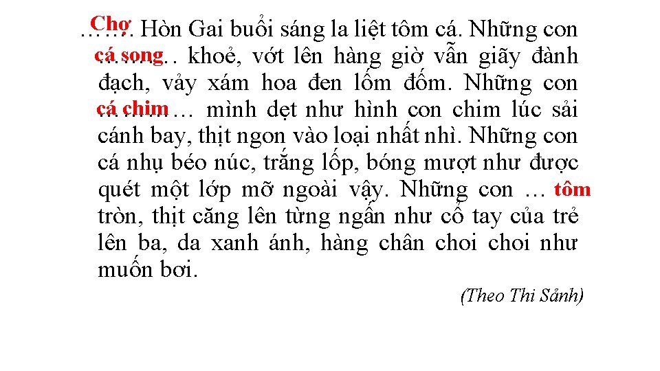 Chợ Hòn Gai buổi sáng la liệt tôm cá. Những con ……. cá song