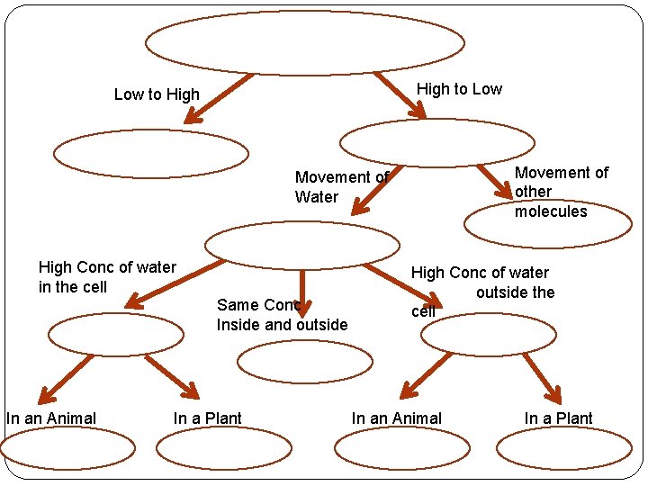 High to Low to High Movement of other molecules Movement of Water High Conc