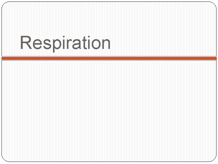 Respiration 