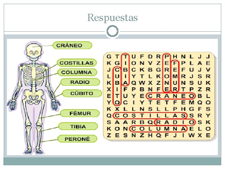 Respuestas Respuestas