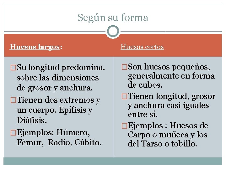 Según su forma Huesos largos: Huesos cortos �Su longitud predomina. �Son huesos pequeños, sobre Según su forma Huesos largos: Huesos cortos �Su longitud predomina. �Son huesos pequeños, sobre