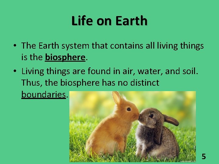 Life on Earth • The Earth system that contains all living things is the Life on Earth • The Earth system that contains all living things is the