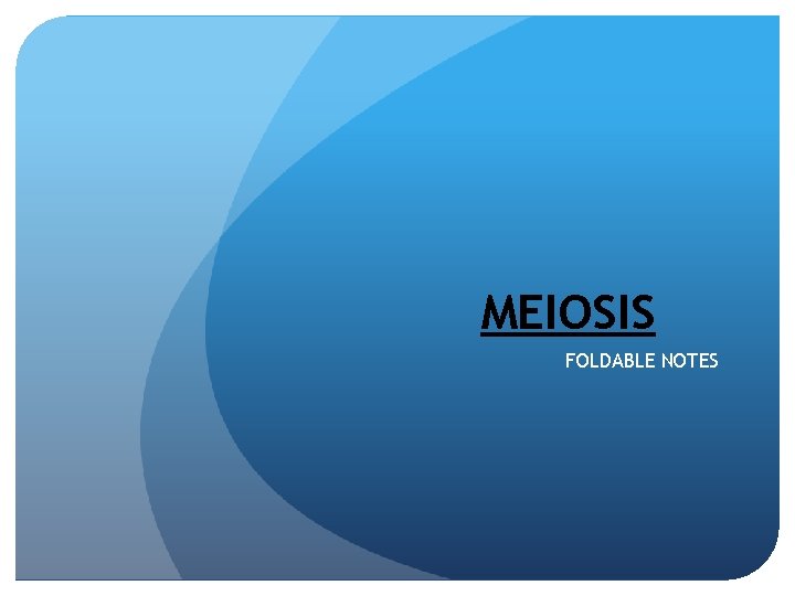 MEIOSIS FOLDABLE NOTES 