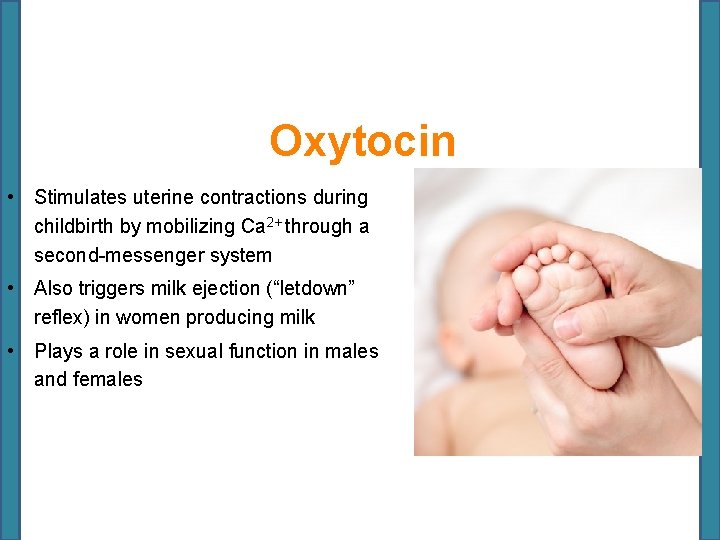 Oxytocin • Stimulates uterine contractions during childbirth by mobilizing Ca 2+ through a second-messenger
