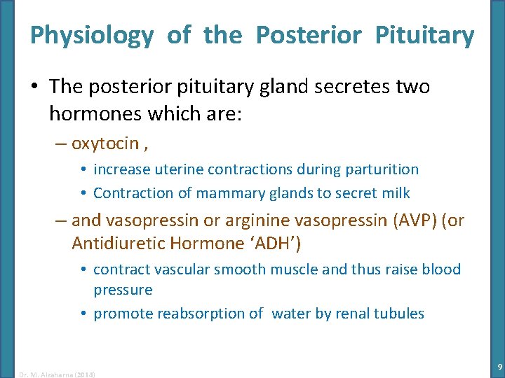 Physiology of the Posterior Pituitary • The posterior pituitary gland secretes two hormones which
