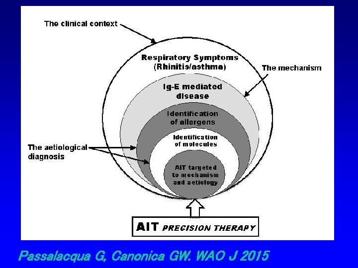 Passalacqua G, Canonica GW. WAO J 2015 