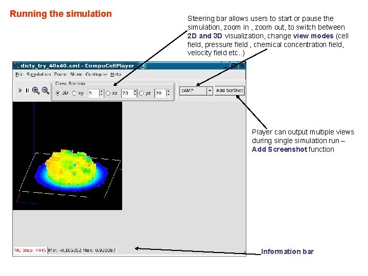 Running the simulation Steering bar allows users to start or pause the simulation, zoom