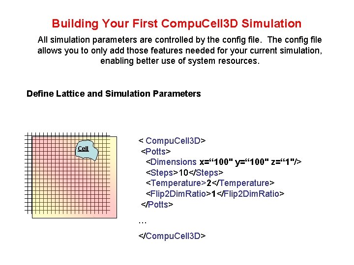 Building Your First Compu. Cell 3 D Simulation All simulation parameters are controlled by