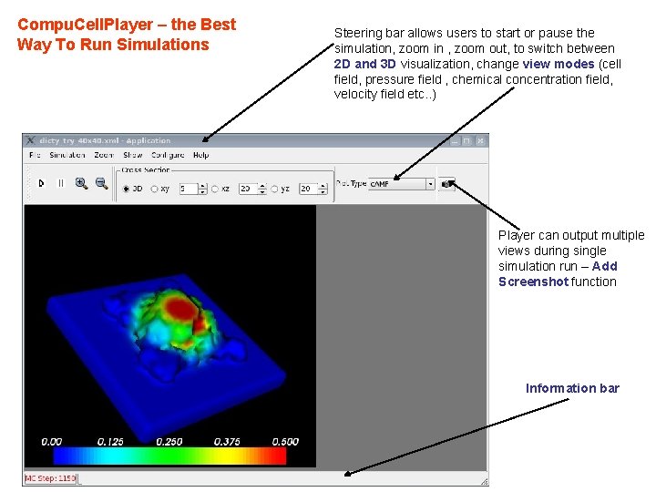 Compu. Cell. Player – the Best Way To Run Simulations Steering bar allows users