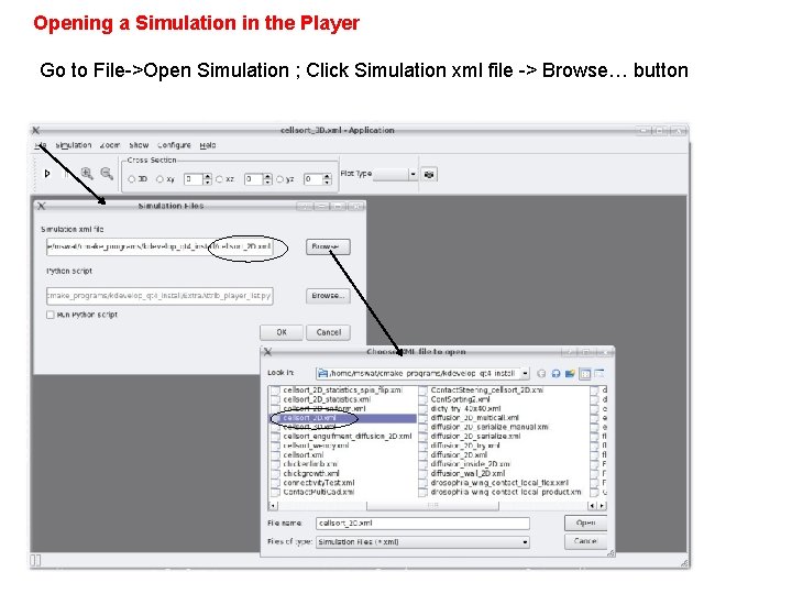 Opening a Simulation in the Player Go to File->Open Simulation ; Click Simulation xml