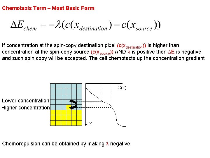 Chemotaxis Term – Most Basic Form If concentration at the spin-copy destination pixel (c(xdestination))