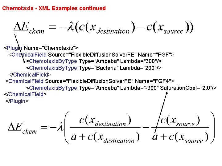 Chemotaxis - XML Examples continued <Plugin Name="Chemotaxis"> <Chemical. Field Source="Flexible. Diffusion. Solver. FE" Name="FGF">