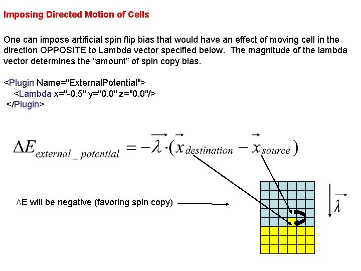 Imposing Directed Motion of Cells One can impose artificial spin flip bias that would