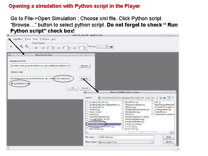 Opening a simulation with Python script in the Player Go to File->Open Simulation ;