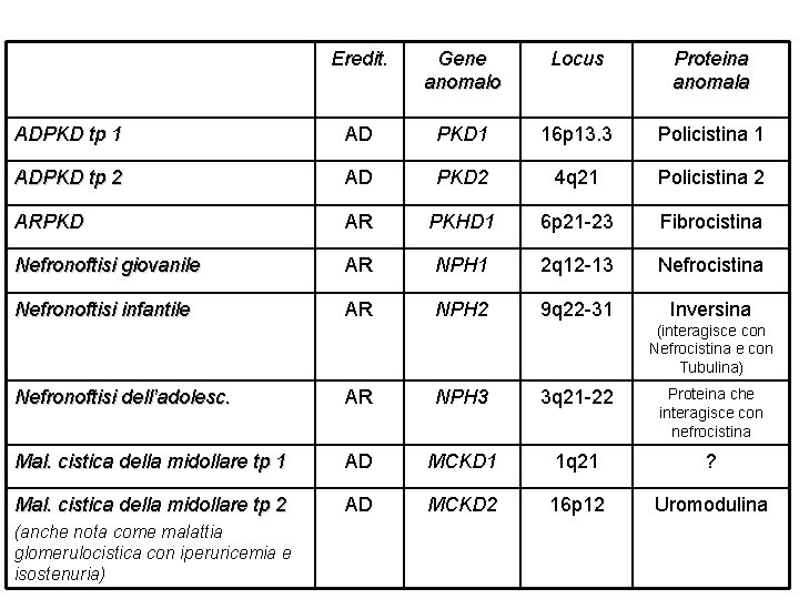 Eredit. Gene anomalo Locus Proteina anomala ADPKD tp 1 AD PKD 1 16 p