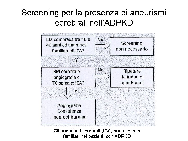 Screening per la presenza di aneurismi cerebrali nell’ADPKD Gli aneurismi cerebrali (ICA) sono spesso