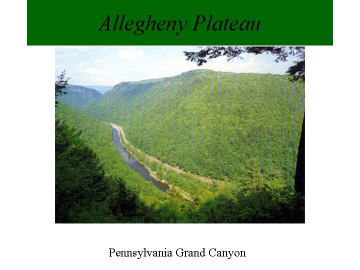 Allegheny Plateau Pennsylvania Grand Canyon 