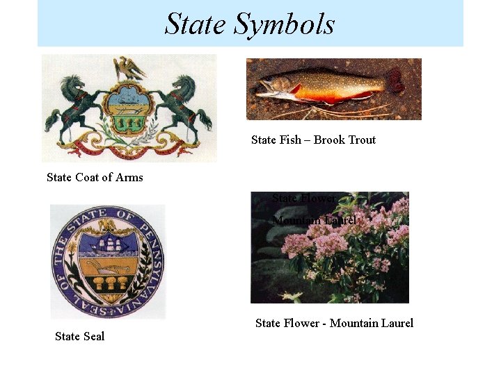 State Symbols State Fish – Brook Trout State Coat of Arms State Flower Mountain