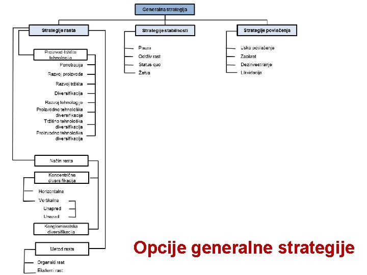 Opcije generalne strategije 