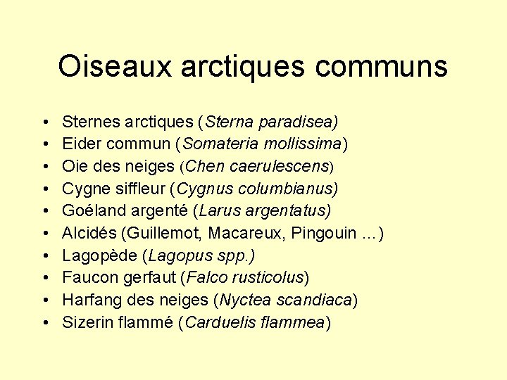 Oiseaux arctiques communs • • • Sternes arctiques (Sterna paradisea) Eider commun (Somateria mollissima)