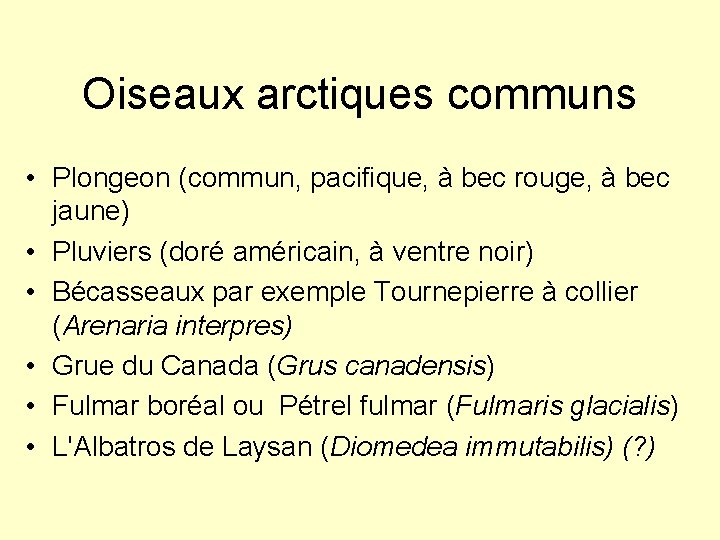 Oiseaux arctiques communs • Plongeon (commun, pacifique, à bec rouge, à bec jaune) •