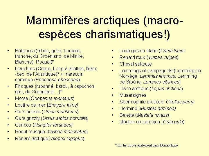 Mammifères arctiques (macroespèces charismatiques!) • • • Baleines ((à bec, grise, boréale, franche, du