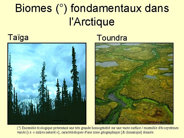 Biomes (°) fondamentaux dans l'Arctique Taïga Toundra www. runet. edu www. ulapland. fi/ (°)