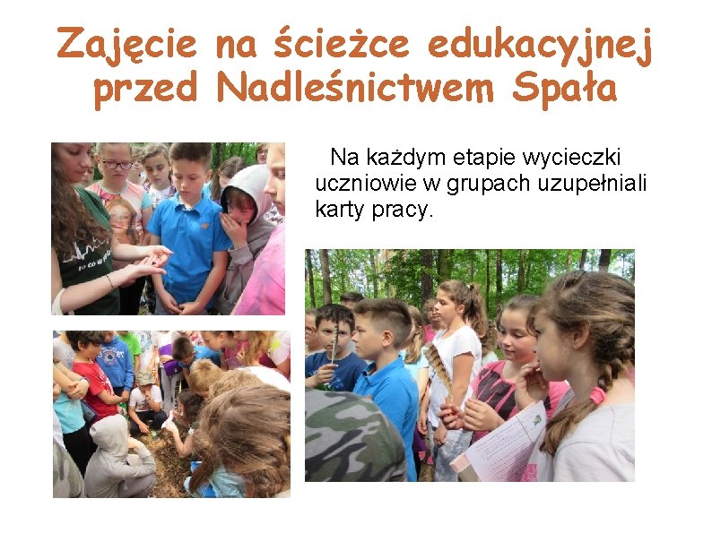 Zajęcie na ścieżce edukacyjnej przed Nadleśnictwem Spała Na każdym etapie wycieczki uczniowie w grupach